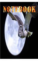 Notebook: Owl Notebook, Journal, Diary size 6x9