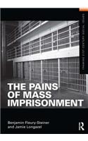 The Pains of Mass Imprisonment