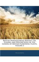 British Phaenogamous Botany;