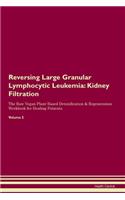 Reversing Large Granular Lymphocytic Leukemia: Kidney Filtration The Raw Vegan Plant-Based Detoxification & Regeneration Workbook for Healing Patients. Volume 5