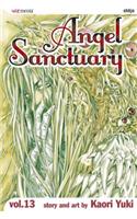 Angel Sanctuary, Vol. 13