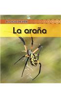 La Araña