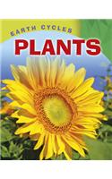 Earth Cycles: Plants: (Earth Cycles)