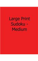 Large Print Sudoku - Medium