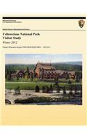 Yellowstone National Park Visitor Study