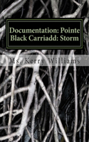 Documentation: Pointe Black Carriadd: Storm: Universal Cultural Persona Documentation