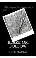 Blaze or Follow