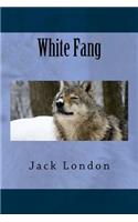 White Fang