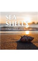 Sea Shells Calendar 2017: 16 Month Calendar