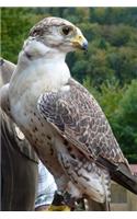 Cool Saker Falcon Bird of Prey Journal: 150 Page Lined Notebook/Diary