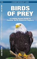 Birds of Prey