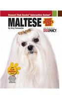 Maltese