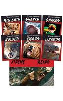 Xtreme Predators: (Xtreme Predators)