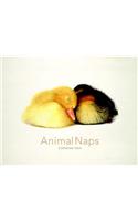 Animal Naps