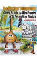 Henry the Tulip Bulb Gets Back to His Roots in St. Augustine, Florida