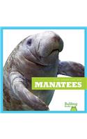 Manatees