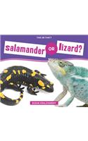 Salamander or Lizard?