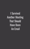 I Survived Another Meeting That Should Have Been An Email