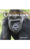 All about African Gorillas