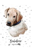 Broholmer 2020 Planner: Dated Weekly Diary With To Do Notes & Dog Quotes