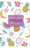 2019-2021 Three Year Planner: 36 Months Calendar Monthly Schedule Organizer, 3 Year Planner 2019-202, Pocket Planner, Agenda Appointment Notebook 6"x9," Calendar Planner for Pers(5 2019-2021 Monthly Calendar Planner Diary Journal)