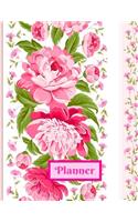 Teacher's Lesson Planner & Notebook