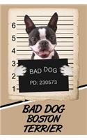 Bad Dog Boston Terrier: Isometric Dot Drawing Paper Notebook Featuring 120 Pages 6x9