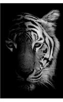 Tiger Notebook: Blank Lined Journal, Softcover (6x9 Inches) with 120 Pages