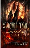 Shadowed Flame