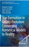 Star Formation in Galaxy Evolution: Connecting Numerical Models to Reality