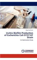 Invitro Biofilm Production of Escherichia Coli O157: H7 Strain