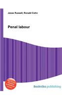 Penal Labour