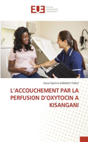 L'Accouchement Par La Perfusion d'Oxytocin a Kisangani