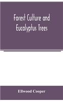 Forest culture and eucalyptus trees