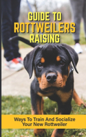 Guide To Rottweilers Raising