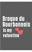 Braque du Bourbonnais is my valentine