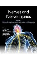 Nerves and Nerve Injuries