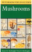 A Peterson Field Guide to Mushrooms