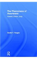 The Phenomena of Awareness