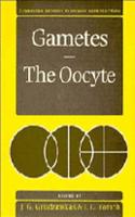 Gametes - The Oocyte