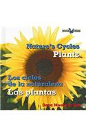 Plants/Las Plantas