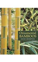 Ornamental Bamboos