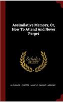 Assimilative Memory, Or, How to Attend and Never Forget