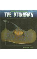 Stingray