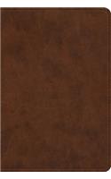 ESV Value Large Print Compact Bible (Trutone, Brown)