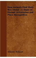How Animals Find Their Way About - A Study of Distant Orientation and Place-Recognition