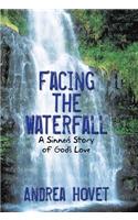 Facing the Waterfall