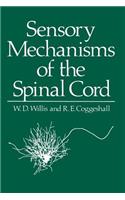 Sensory Mechanisms of the Spinal Cord