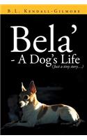 Bela' - A Dog's Life