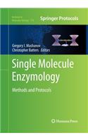 Single Molecule Enzymology